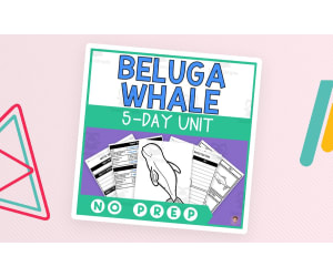 Beluga Whale Unit Study (Arctic Animals Lesson Plan, Videos, Activities)