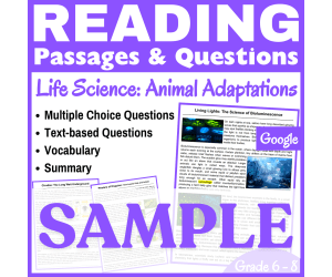 Bioluminescence & Insects : Reading Comprehension passages (Docs)