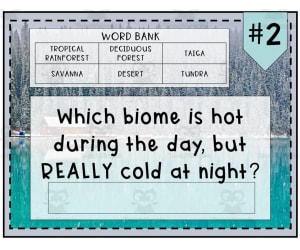 Biomes Review Digital Activity