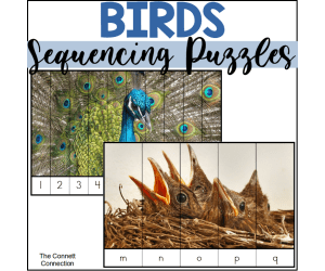 Bird Alphabet and Number Sequencing Puzzles