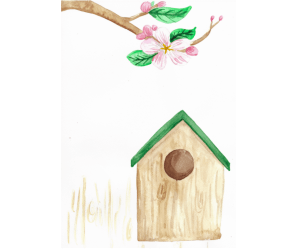 Bird Box Flashcards