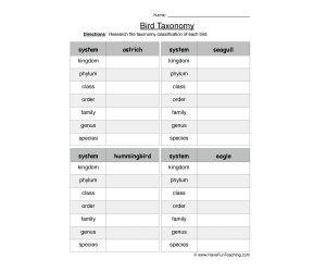 Bird Taxonomy Worksheet