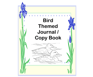 Bird Themed Journal/Copy Book