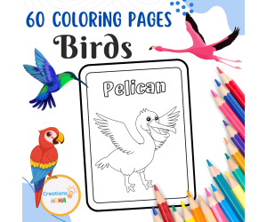 Birds Coloring Pages