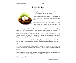 Birds Nest - Reading Comprehension Worksheet
