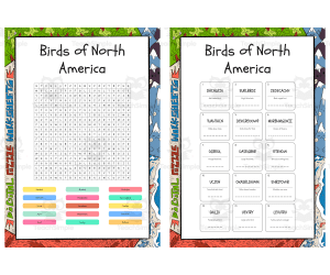 Birds of North America word search, scramble and crossword