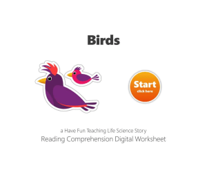 Birds Reading Comprehension Digital Worksheet