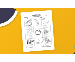 Black and White Pictures Color Names Worksheet