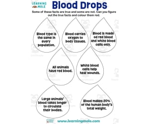 Blood Drops Activity