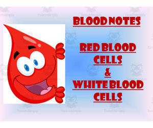 Blood Notes | Red Blood Cells and White Blood Cells PowerPoint Presentation