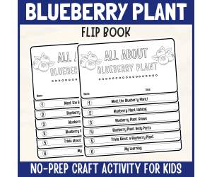 Blueberry Plant Flipbook Craft DIY Science Study Writing activity