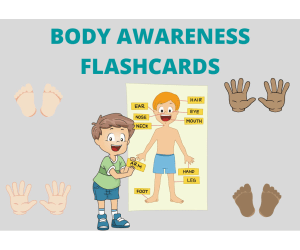Body Awareness Flashcards