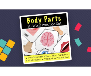 Body Parts Vocabulary - Digital Activities, Word List & Quiz + 4 Flashcard Sets