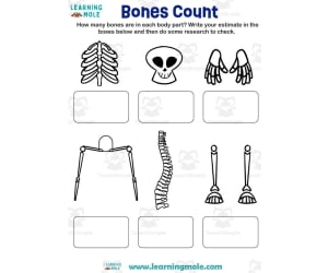 Bones Count Activity