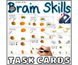 Brain Task Cards Same Different