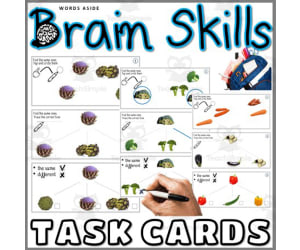 Brain Task Cards Same or Different
