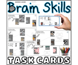 Brain Visual Perception Task Cards Farm Animal