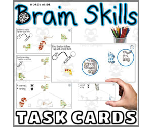 Brain Visual Perception Task Cards Farm Animals