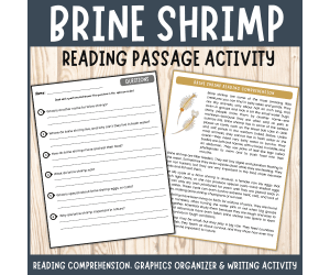 Brine Shrimp reading passage comprehension questions writing activity