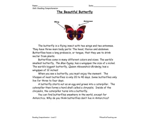 Butterflies Reading Comprehension Worksheet