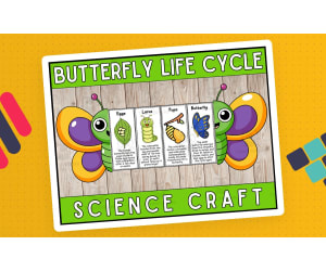 Butterfly Life Cycle Craft Foldable Science Cut and Paste Activity