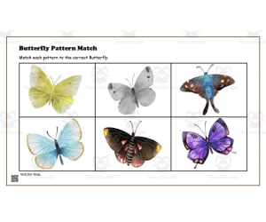Butterfly Pattern Match Activity #2