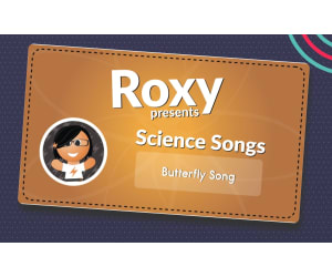 Butterfly Song (MP3)