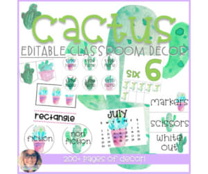 Cactus Classroom Decor