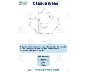 Canada Wand Activity