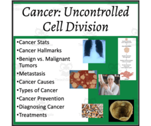 Cancer: Uncontrolled Cell Division - Google Slides and PowerPoint Lesson