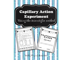 Capillary Action Experiment