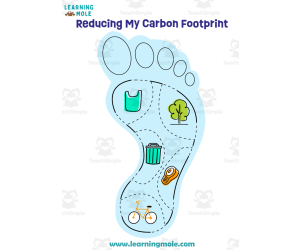 Carbon Footprint Activity