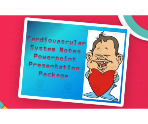 Cardiovascular System | PowerPoint Presentation