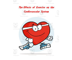Cardiovascular System ~ The Effects of Exercise Lab Activity