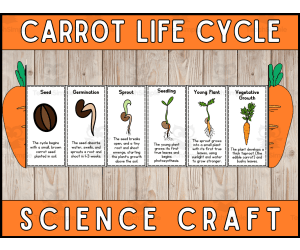 Carrot Life Cycle Craft Foldable Science Cut and Paste Activity