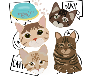 Cat Clips