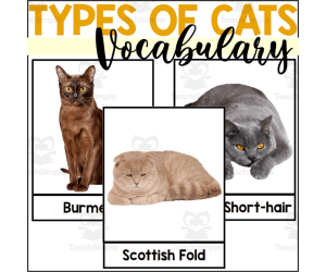 Cat Vocabulary Words - Cat Breeds