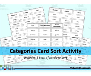 Categories Card Sort Activity