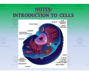 Cell Introduction PowerPoint Presentation
