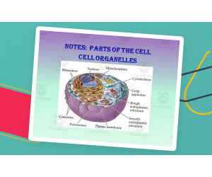 Cell Organelle PowerPoint Presentation