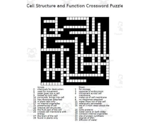 Cell Structure and Function Crossword Puzzle