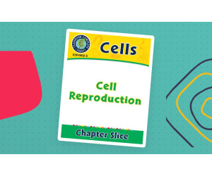 Cells: Cell Reproduction