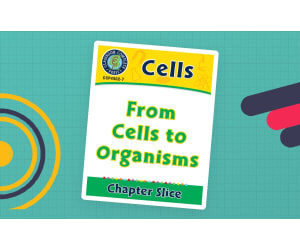 Cells: From Cells to Organisms