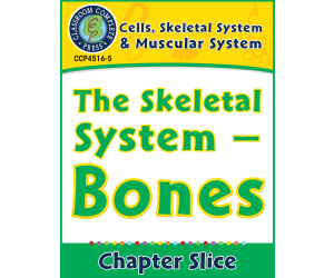 Cells, Skeletal & Muscular Systems: The Skeletal System - Bones Gr. 5-8