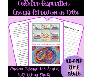 Cellular Respiration:  Energy Extraction in Cells Reading Passage