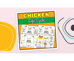Chicken Life Cycle Worksheets and Flashcards | Farm animals