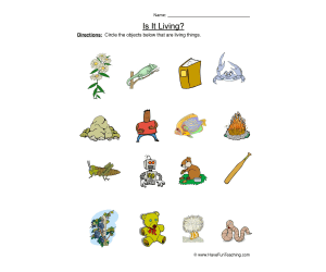 Circle Living Things Worksheet