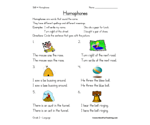 Circle the Best Homophone Worksheet