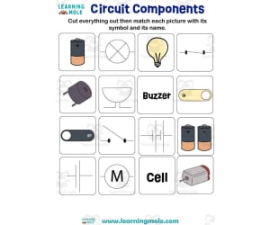 Circuit Components Activity
