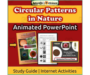 Circular Patterns in Nature PowerPoint with Study Guide